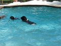 2010-09_04 Hemi Liberty Hill Open Swim